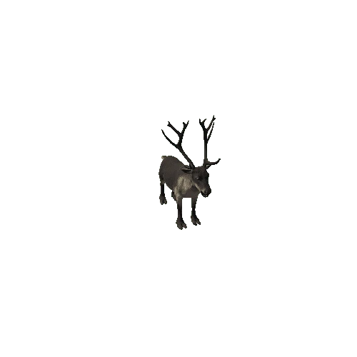 Reindeer_IP_FV_SHP (Fur1)